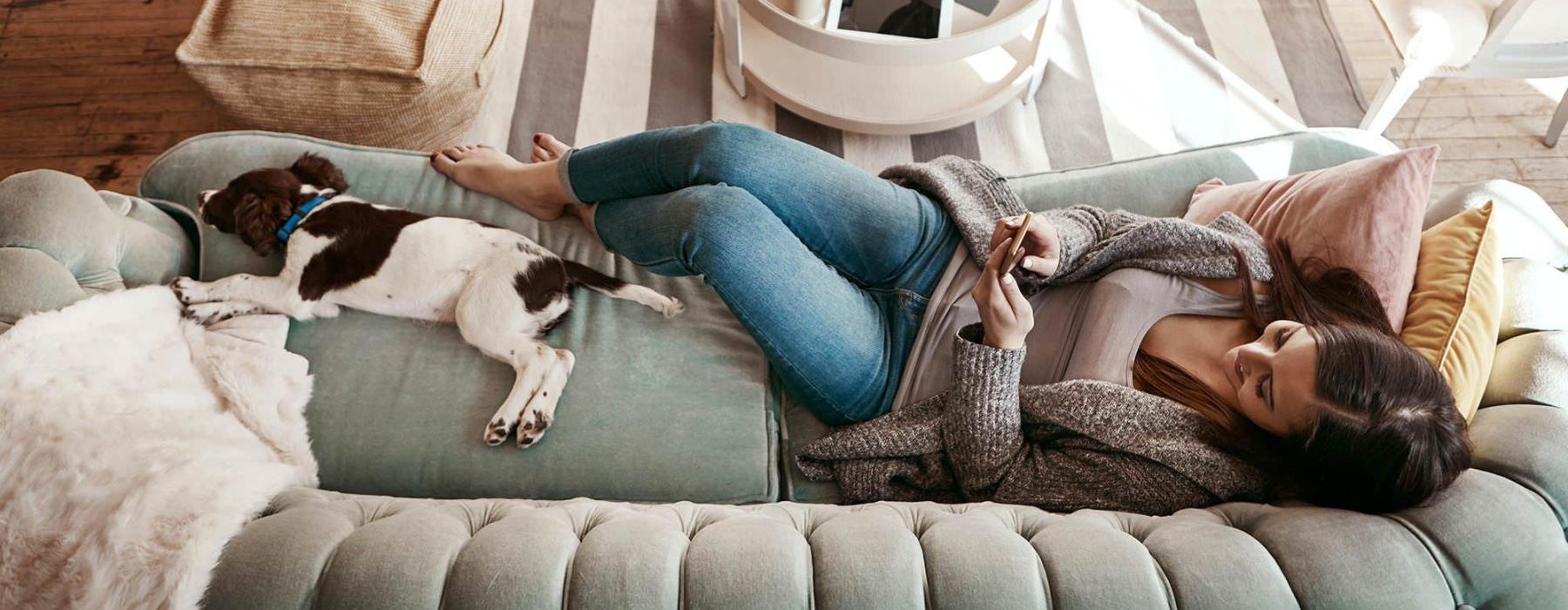 overhead view of  a woman texting as she lies on a couch with a dog at her feet